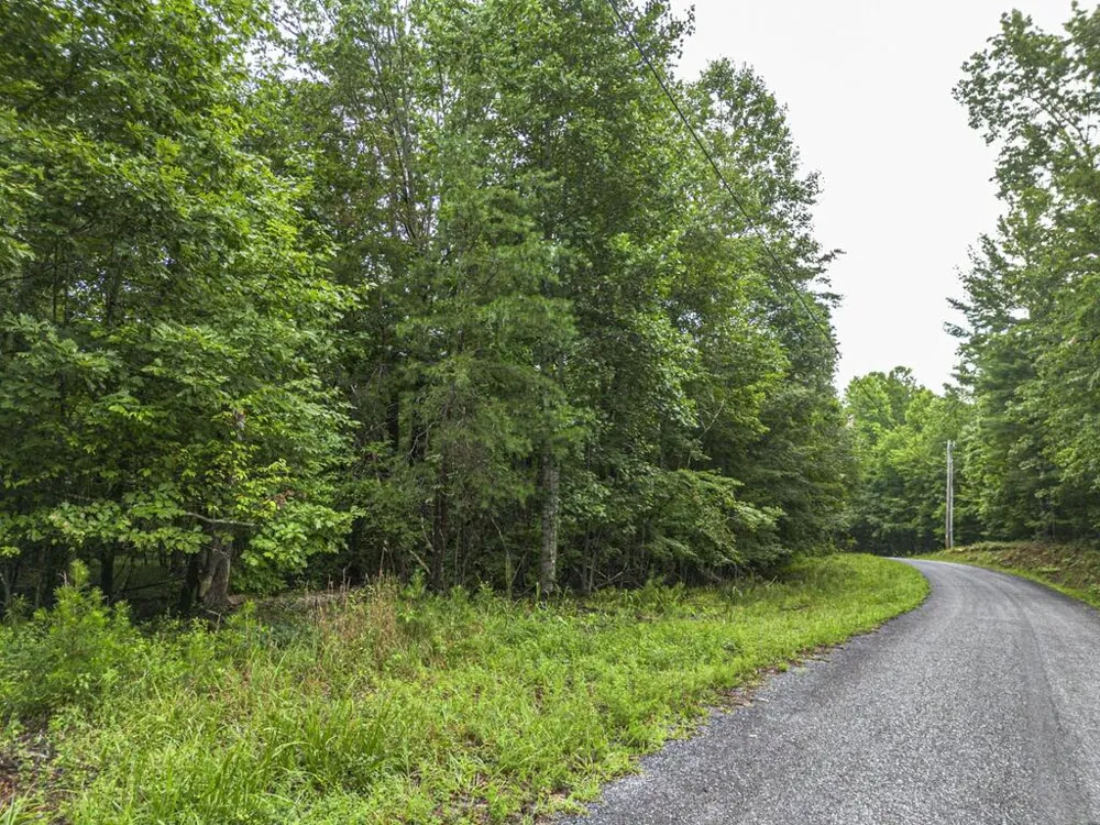 5.34 AC Hill Top Circle McCaysville, GA 30555