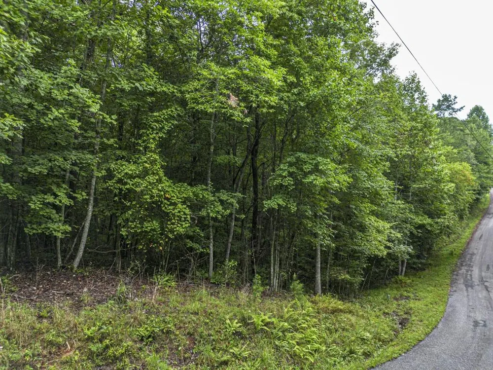 5.34 AC Hill Top Circle McCaysville, GA 30555