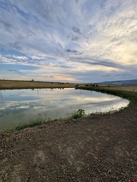 40967 M75 ROAD Paonia, CO 81428