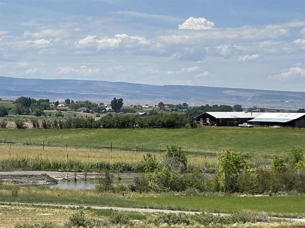 40967 M75 ROAD Paonia, CO 81428