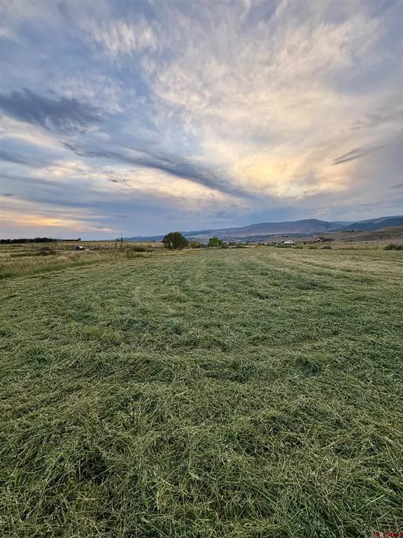 40967 M75 ROAD Paonia, CO 81428