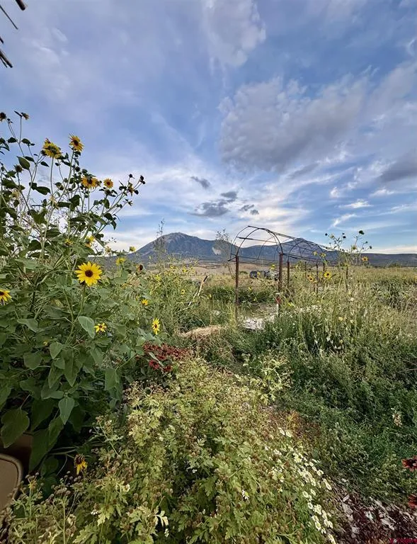 40967 M75 ROAD Paonia, CO 81428