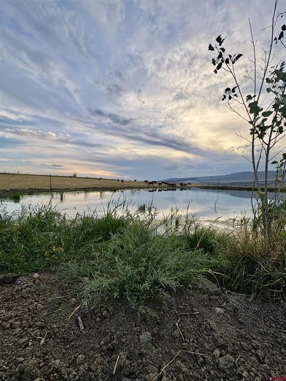 40967 M75 ROAD Paonia, CO 81428