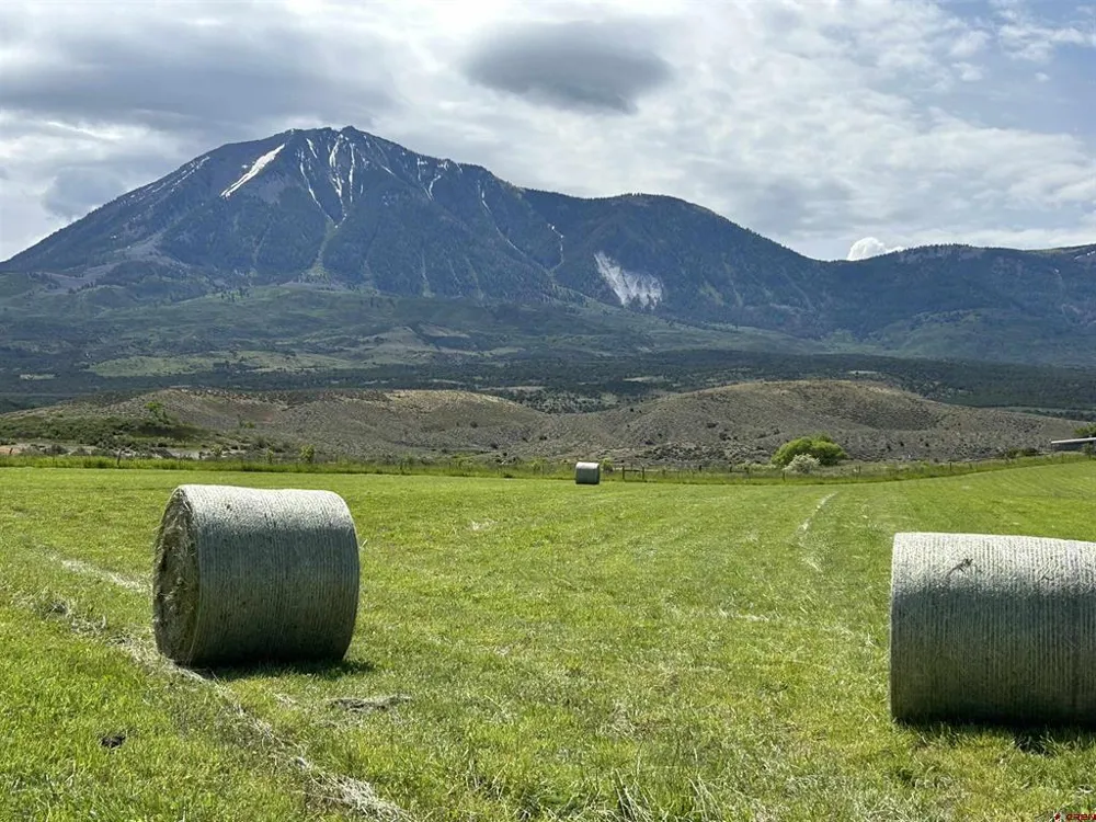 40967 M75 ROAD Paonia, CO 81428