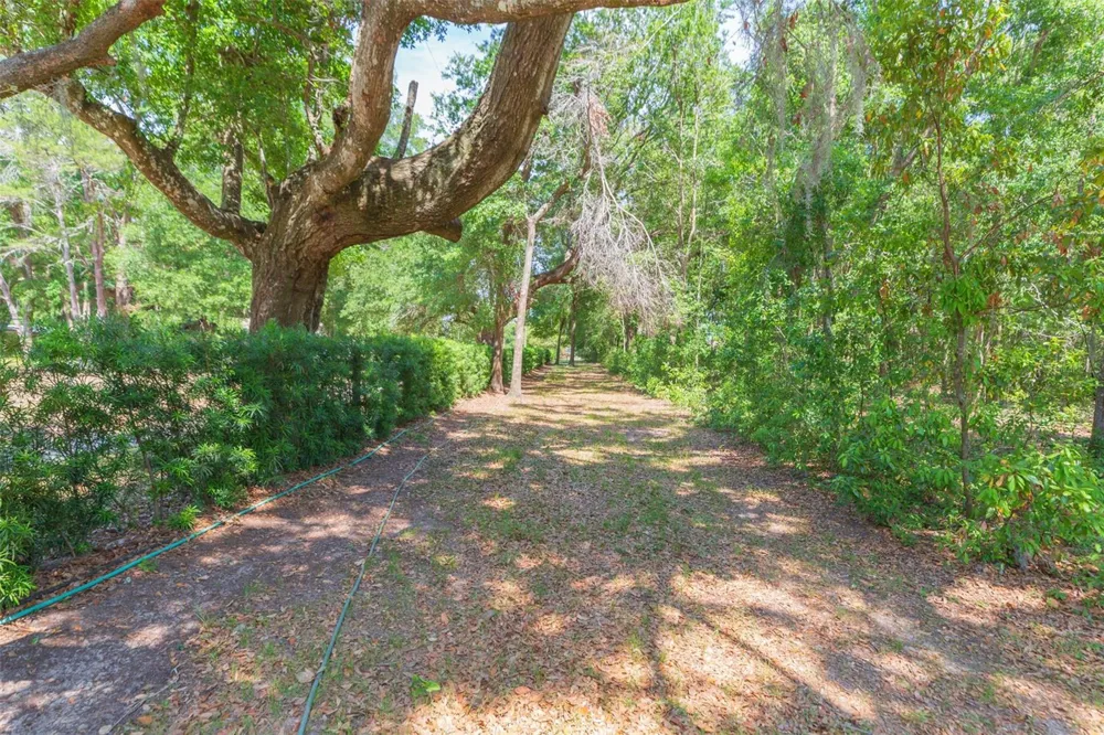 34211 BLANTON ROAD Dade City, FL 33523