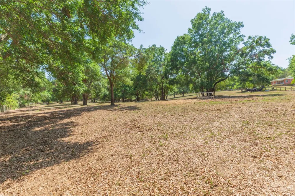 34211 BLANTON ROAD Dade City, FL 33523