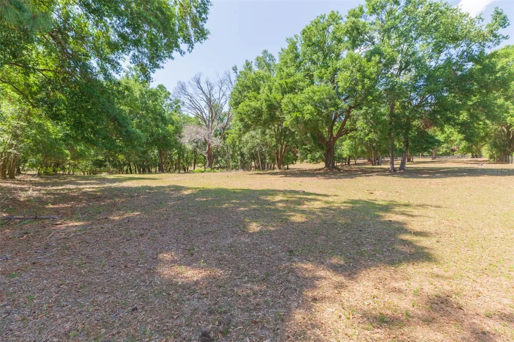 34211 BLANTON ROAD Dade City, FL 33523