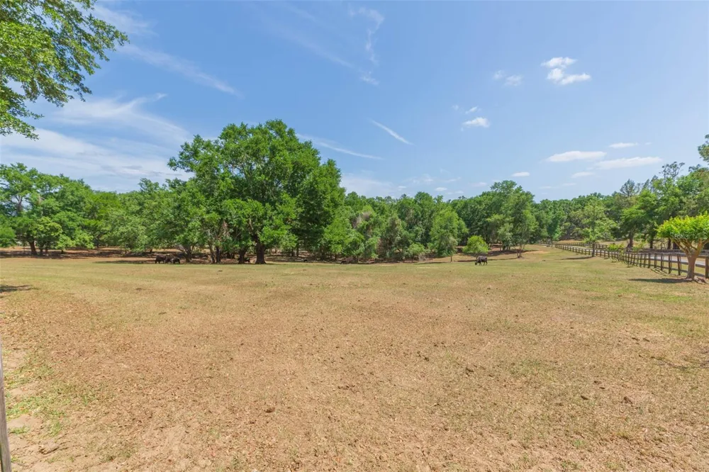 34211 BLANTON ROAD Dade City, FL 33523