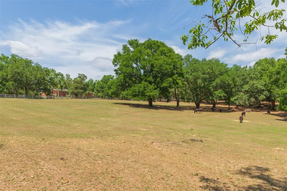 34211 BLANTON ROAD Dade City, FL 33523