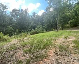 US Hwy 19S Bryson City, NC 28713