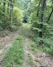 US Hwy 19S Bryson City, NC 28713