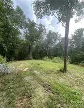 US Hwy 19S Bryson City, NC 28713