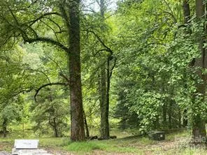 US Hwy 19S Bryson City, NC 28713