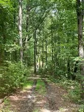 US Hwy 19S Bryson City, NC 28713
