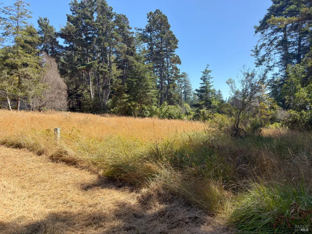 35515 Timber Ridge Road The Sea Ranch, CA 95497