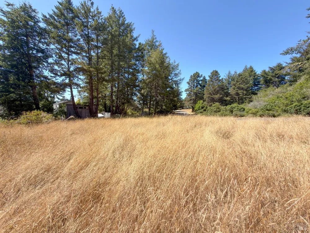 35515 Timber Ridge Road The Sea Ranch, CA 95497