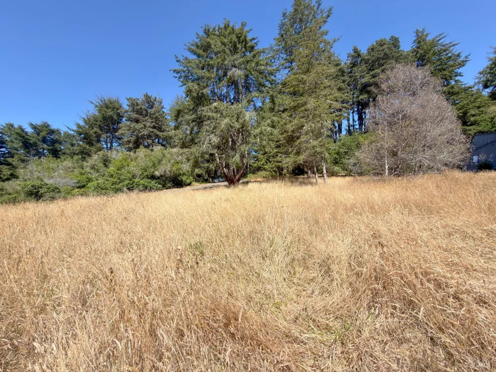 35515 Timber Ridge Road The Sea Ranch, CA 95497