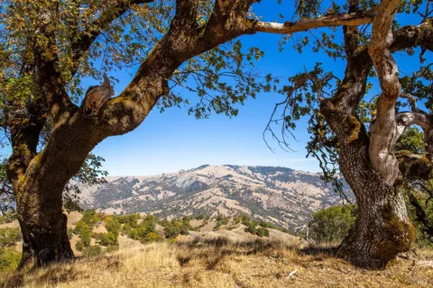 7721 Simmerly Ranch Road