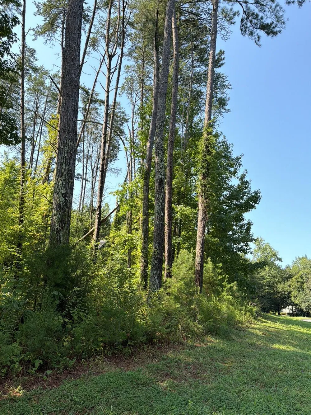 1724 Oakbrook Trail Ooltewah, TN 37363