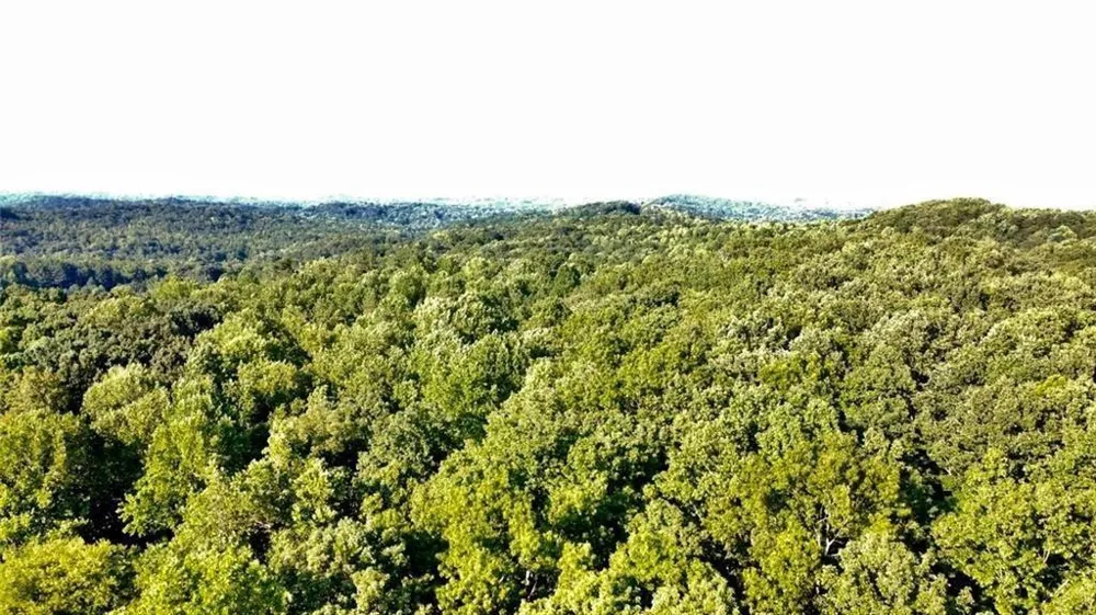 6280 Dawsonville Highway Dawsonville, GA 30534