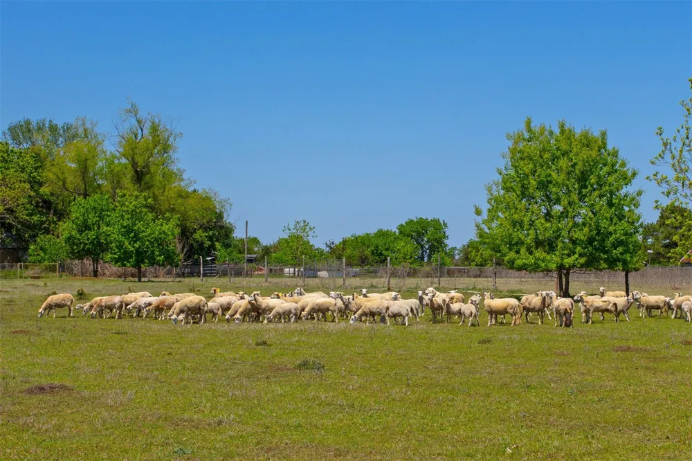 305 County Road 108 Caldwell, TX 77836