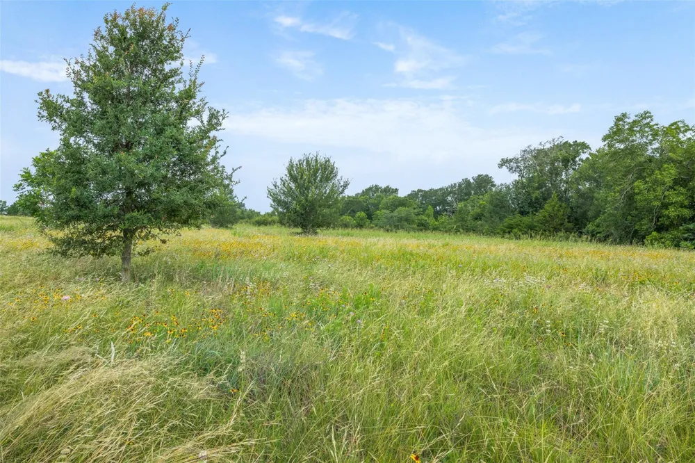 305 County Road 108 Caldwell, TX 77836