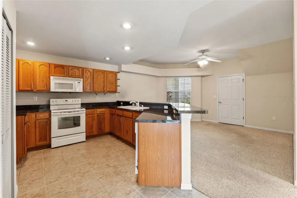 1920 HAMMOCKS AVENUE #1002 Lutz, FL 33549