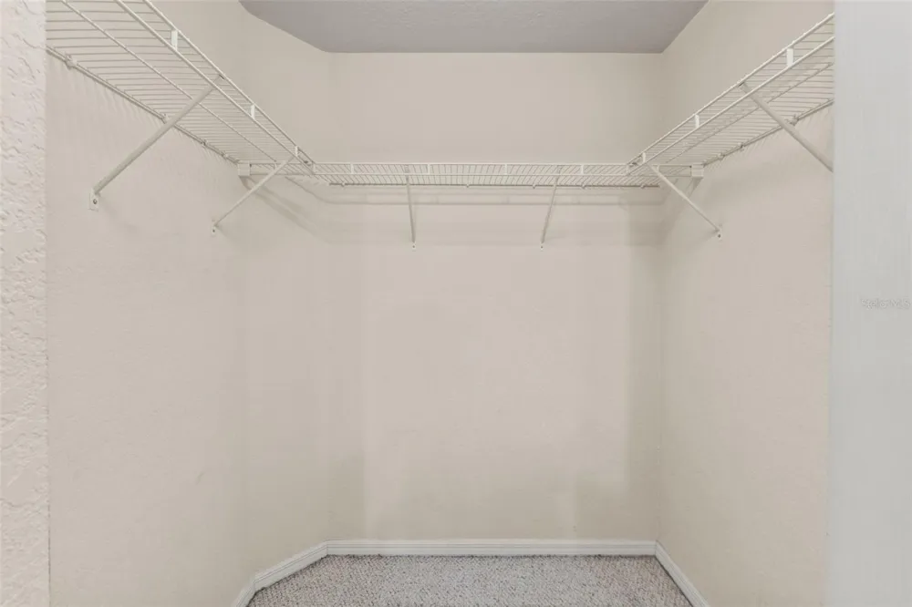 1920 HAMMOCKS AVENUE #1002 Lutz, FL 33549
