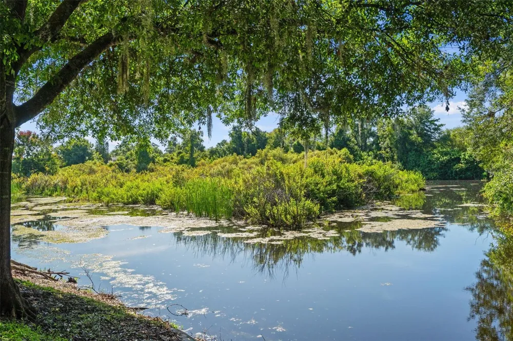 1920 HAMMOCKS AVENUE #1002 Lutz, FL 33549