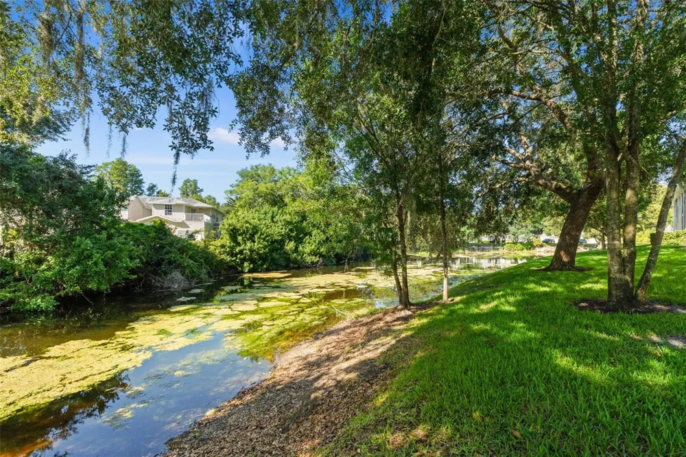 1920 HAMMOCKS AVENUE #1002 Lutz, FL 33549