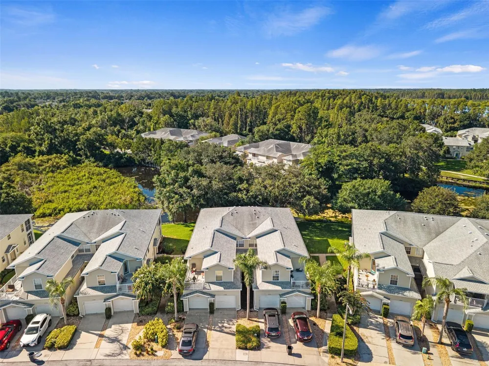 1920 HAMMOCKS AVENUE #1002 Lutz, FL 33549