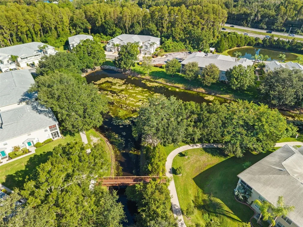 1920 HAMMOCKS AVENUE #1002 Lutz, FL 33549