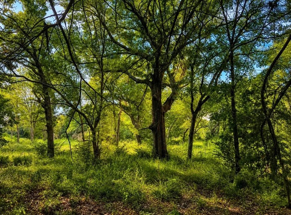 3288 County Road 136 Whitesboro, TX 76273