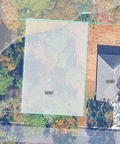 9031 San Saba Willis, TX 77303
