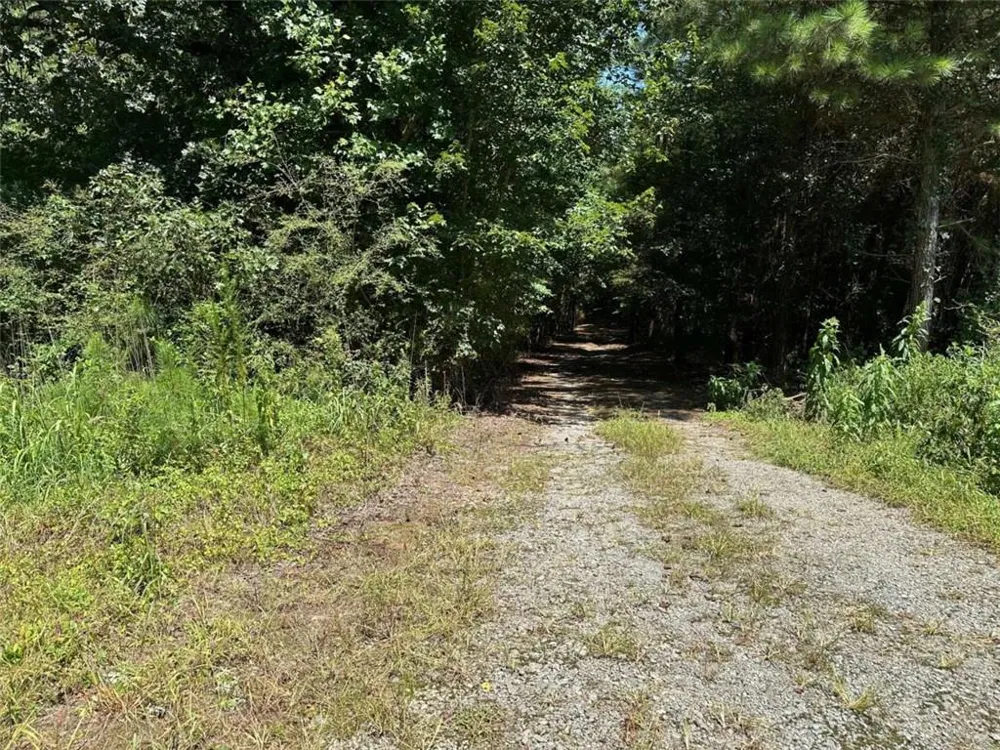 305 Wildcat Road Buchanan, GA 30113