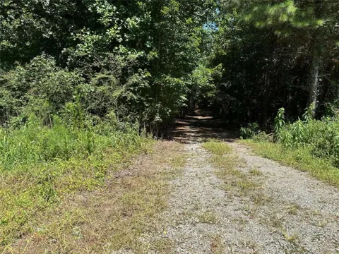 305 Wildcat Road