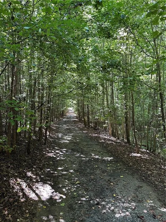 305 Wildcat Road Buchanan, GA 30113