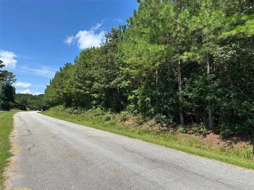 305 Wildcat Road Buchanan, GA 30113