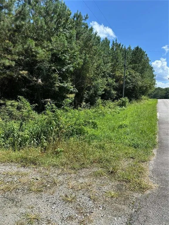 305 Wildcat Road Buchanan, GA 30113