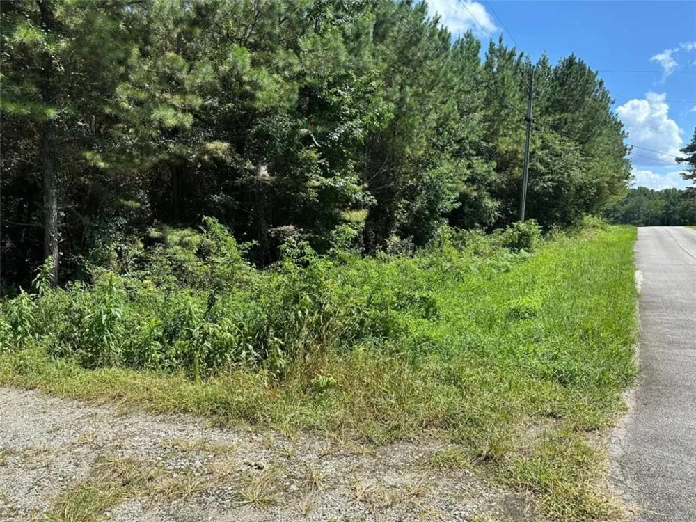 305 Wildcat Road Buchanan, GA 30113