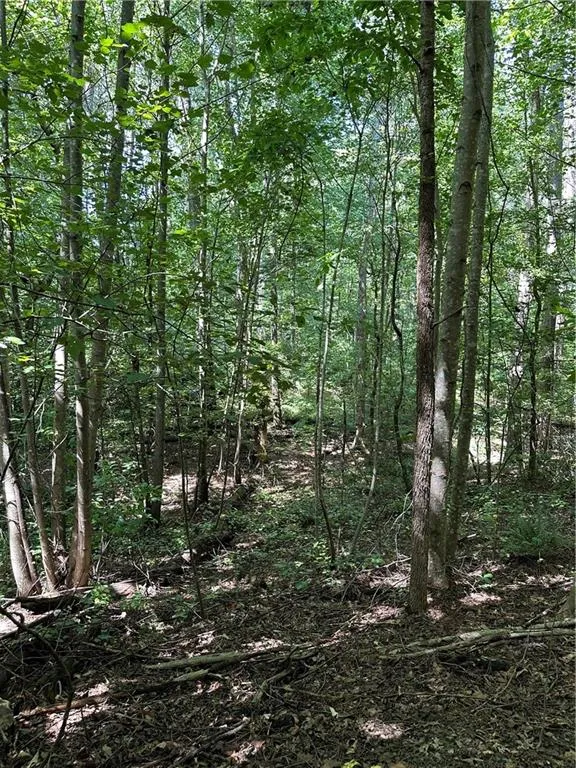 305 Wildcat Road Buchanan, GA 30113