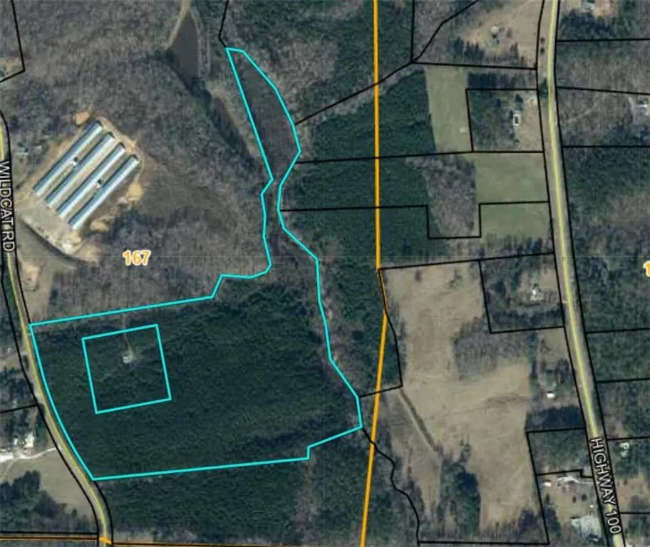 305 Wildcat Road Buchanan, GA 30113