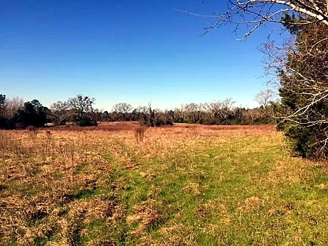 906 W Rusk Street #W Mount Enterprise, TX 75681