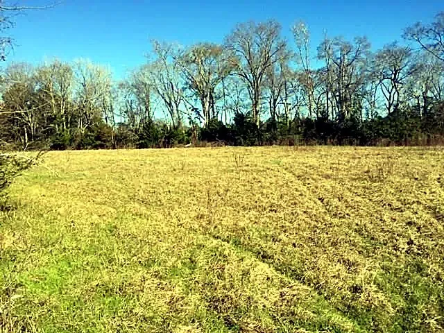 906 W Rusk Street #W Mount Enterprise, TX 75681
