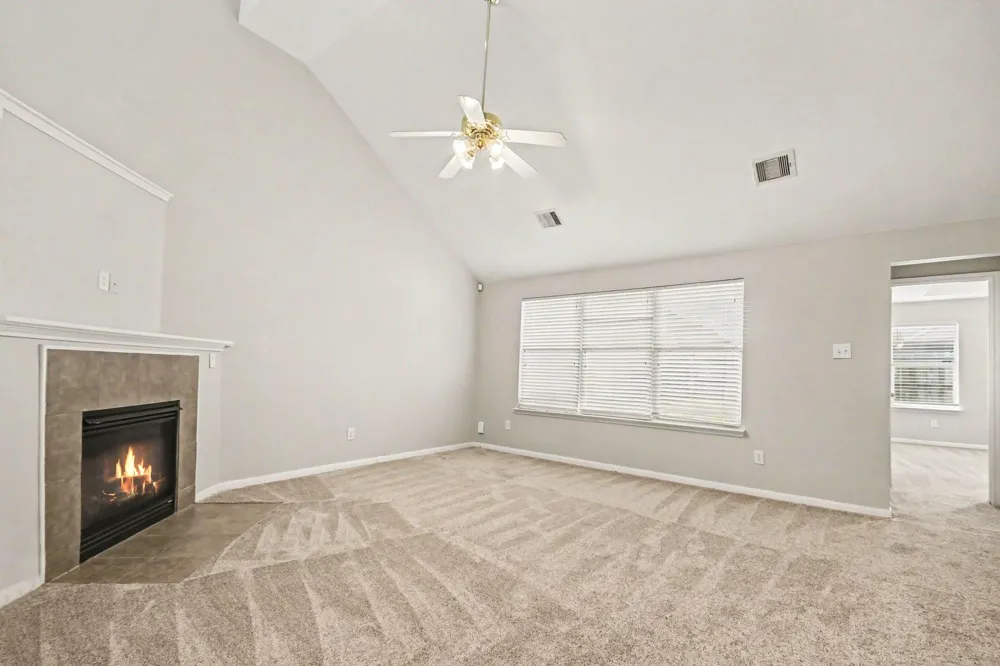 1502 Chandler Park Lane Fresno, TX 77545