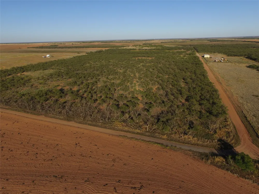 FM 1224 Roby, TX 79543