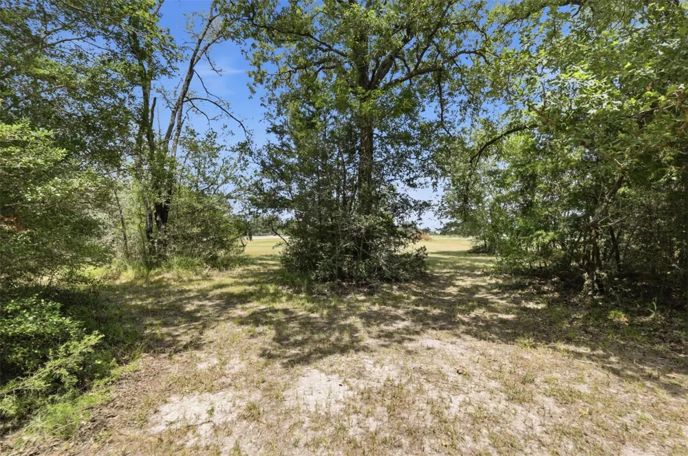 11430 Long Trussel Road Bryan, TX 77808
