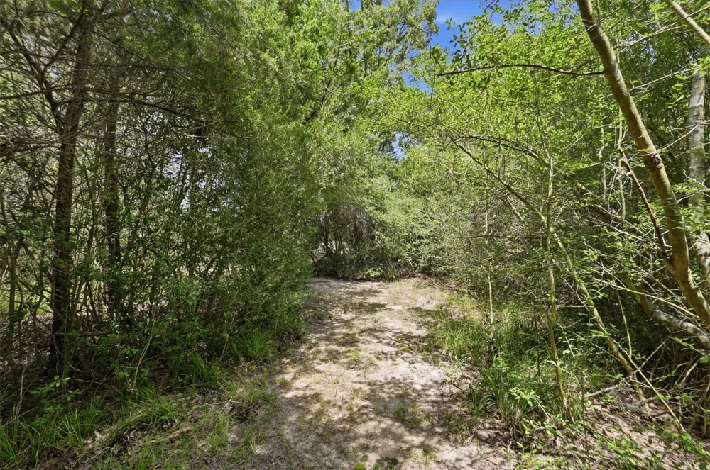 11430 Long Trussel Road Bryan, TX 77808