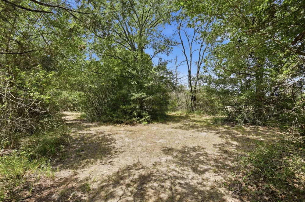 11430 Long Trussel Road Bryan, TX 77808