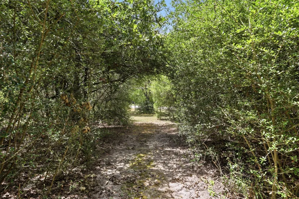 11430 Long Trussel Road Bryan, TX 77808